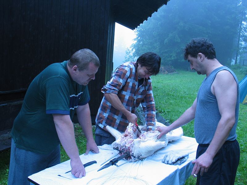 Nová Ves 2006